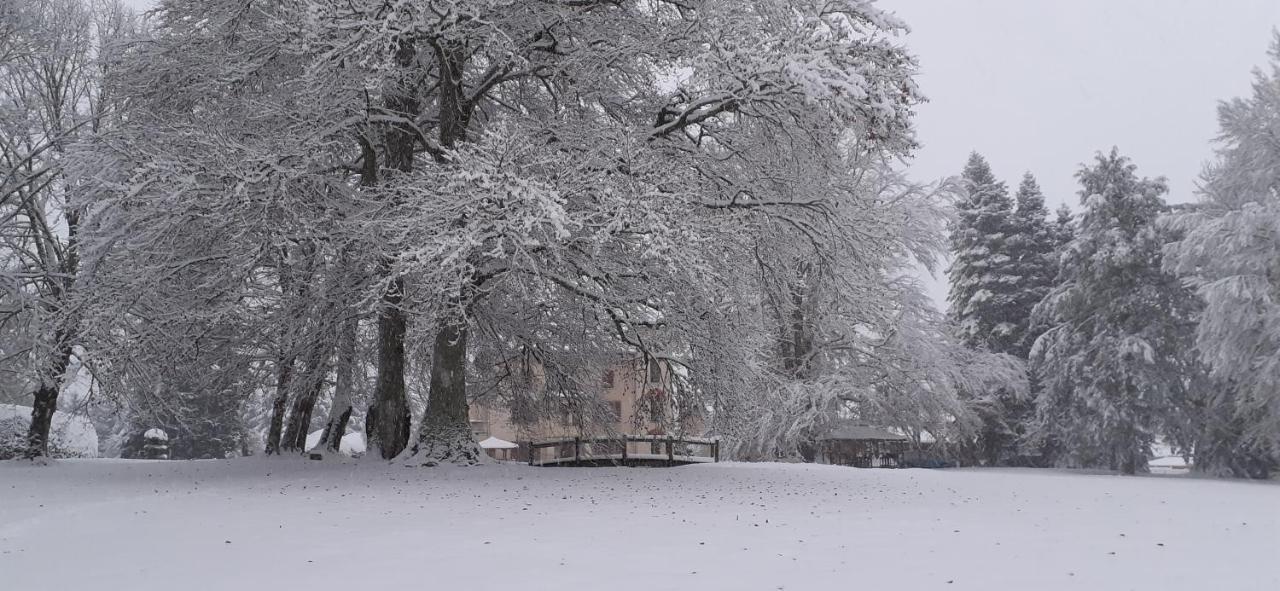 Bed and Breakfast Domaine de Marchal Celles-Sur-Durolle Exterior foto
