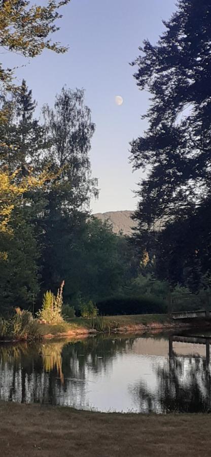 Bed and Breakfast Domaine de Marchal Celles-Sur-Durolle Exterior foto